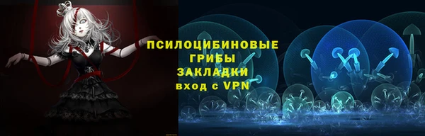 дурь Алзамай
