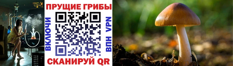 hydra сайт  Дыгулыбгей  Галлюциногенные грибы прущие грибы 